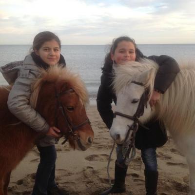 Poney